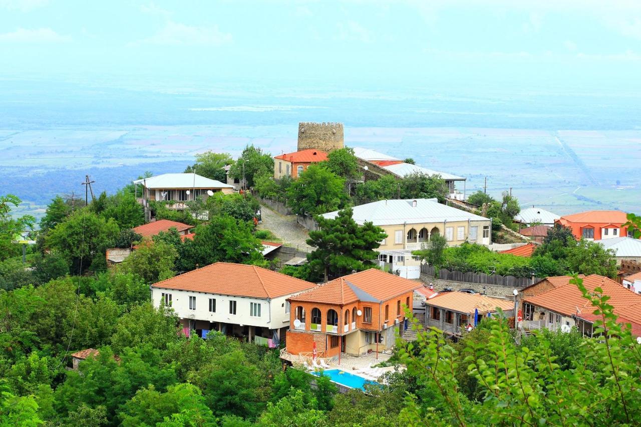 Guest House Pirosmani 60 Sighnaghi Ngoại thất bức ảnh